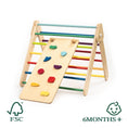 Load image into Gallery viewer, Swedish Wall and Climbing Triangle Set 2in1