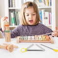 Load image into Gallery viewer, Montessori Musical Instrument Set for Children