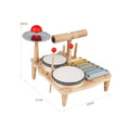 Load image into Gallery viewer, Baby Music Discovery Set